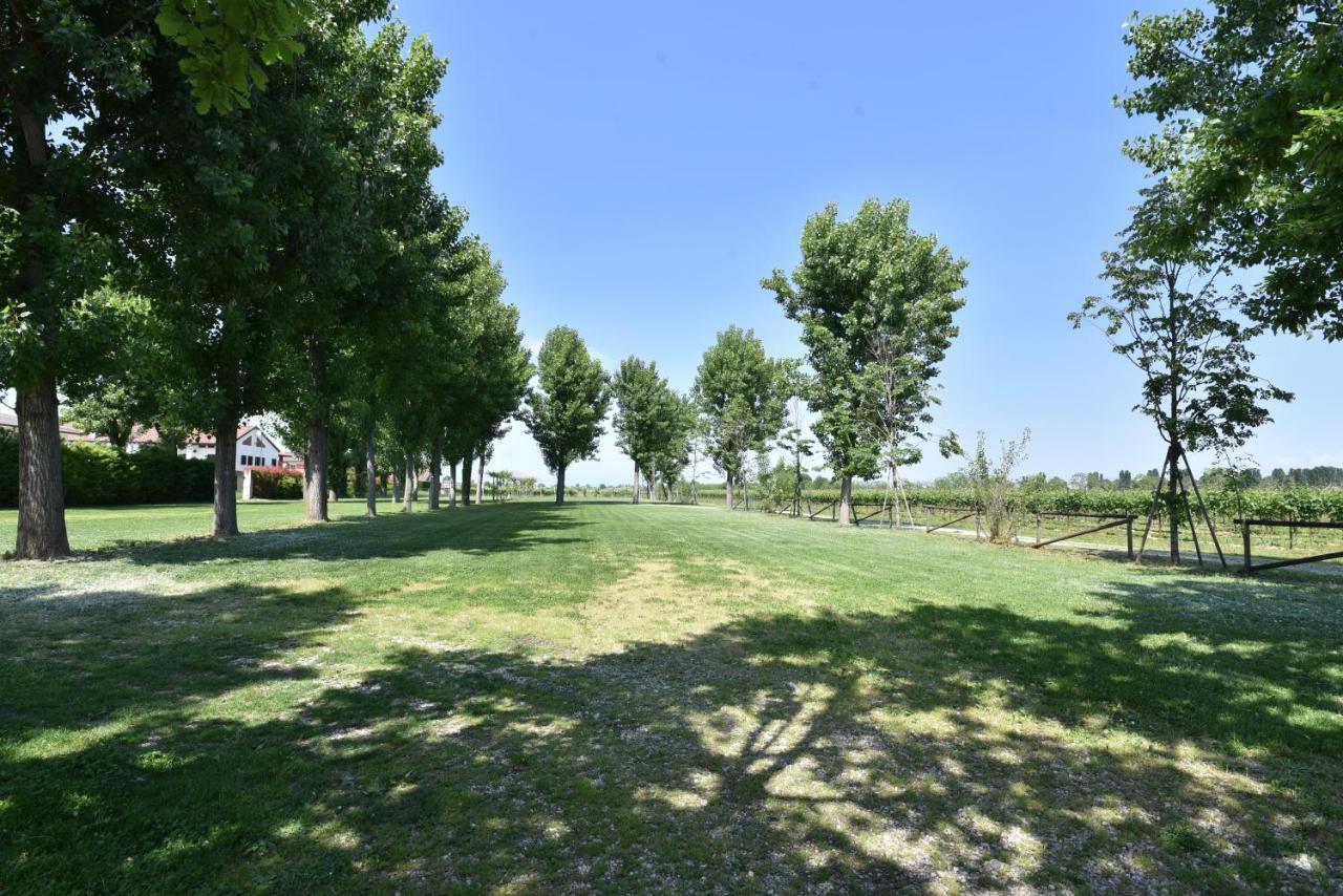 Bed and Breakfast Tenuta Le Risare Campo San Martino Exterior foto